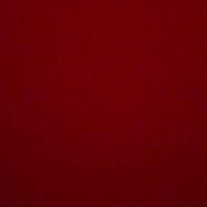 Meet your Posher, Benji